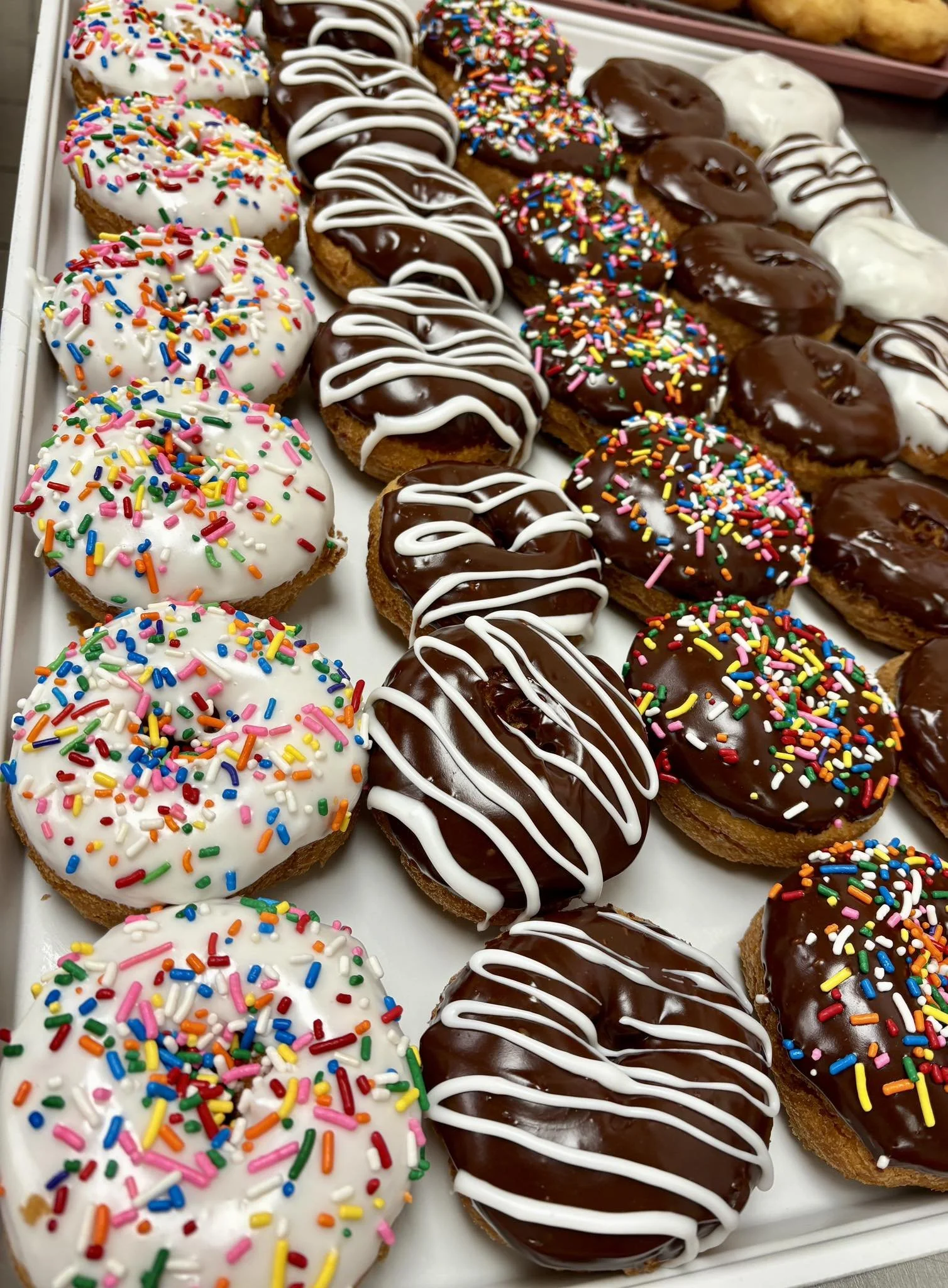 Four rows of round donuts each with a different icing and sprinkles on top