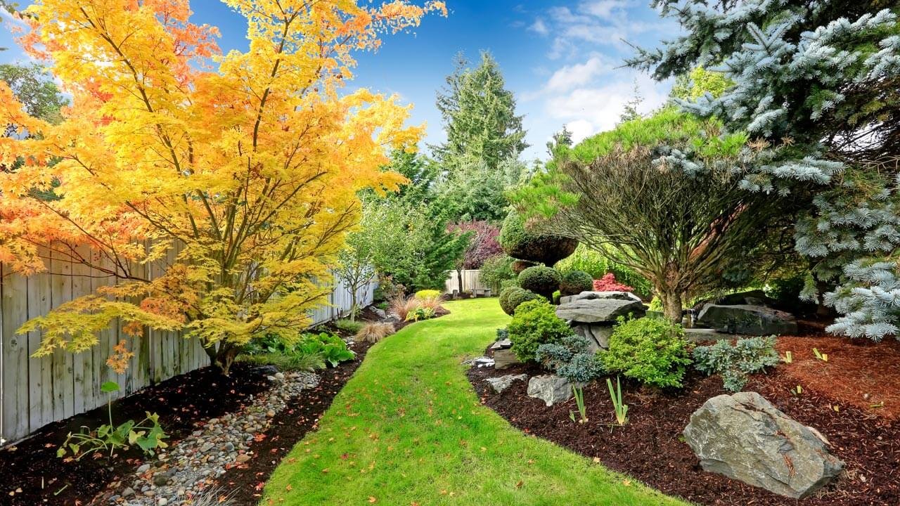 Should You Design and Landscape Your Backyard?