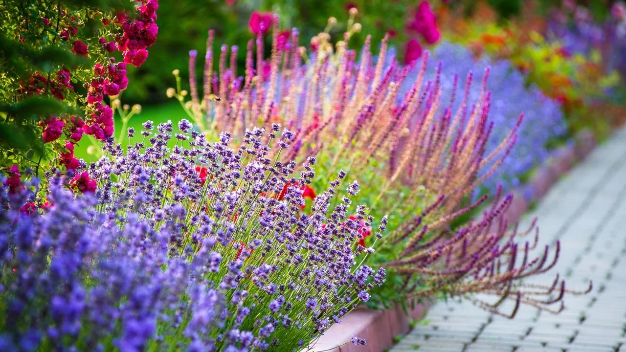 Bring Life to Your Outdoor Space: What is Included in Landscaping?