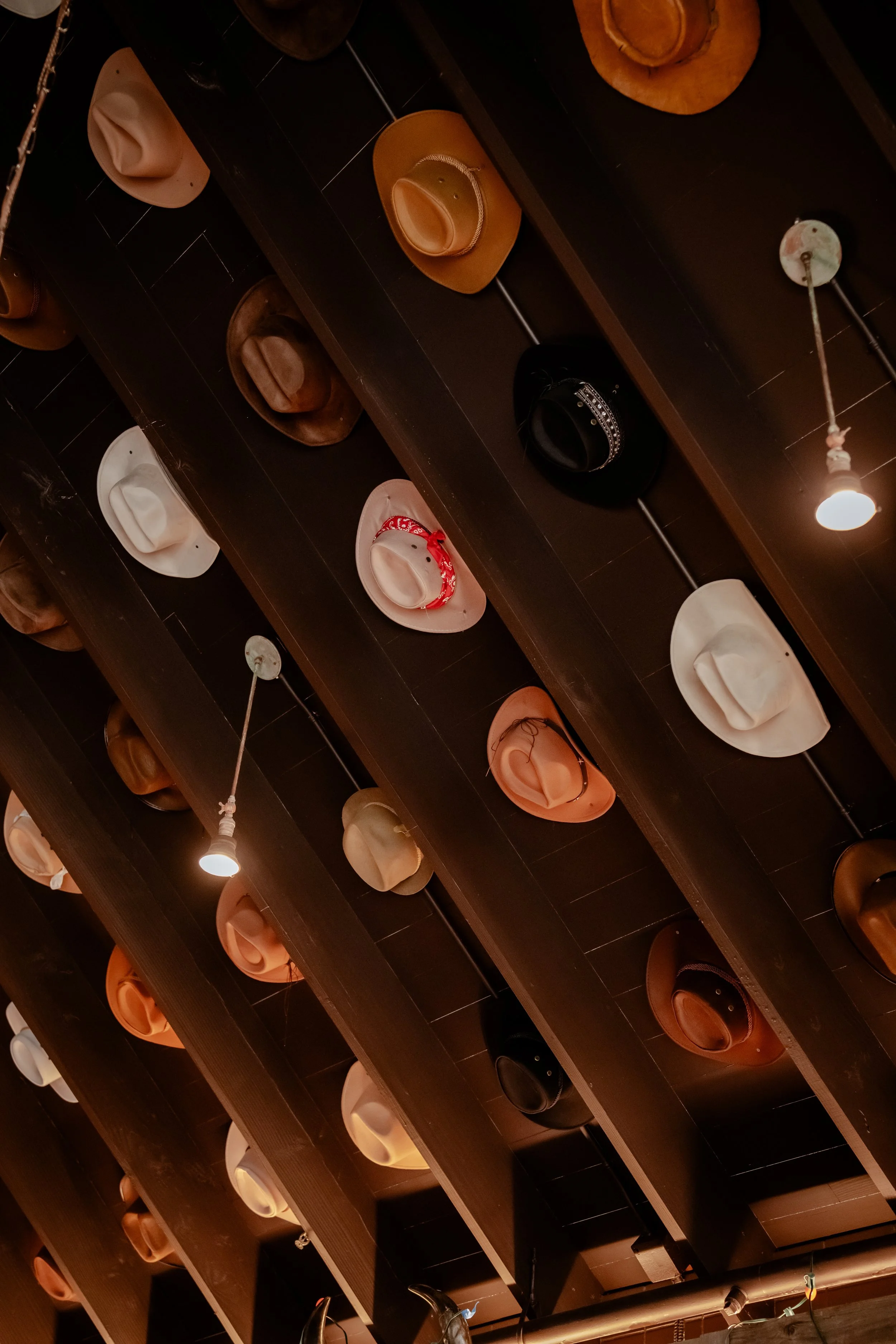 Photo Feb 25 2026, 3 10 00 AM (1).jpg