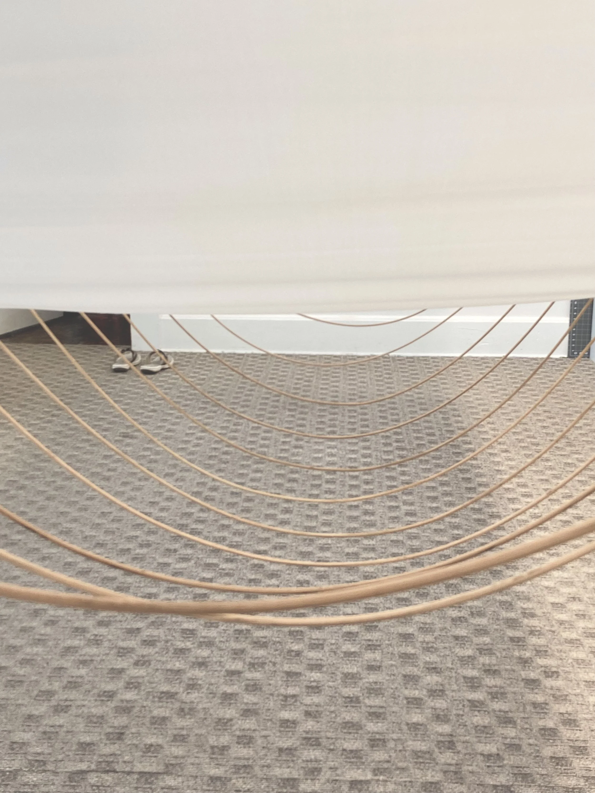 Carrie Wright's studio