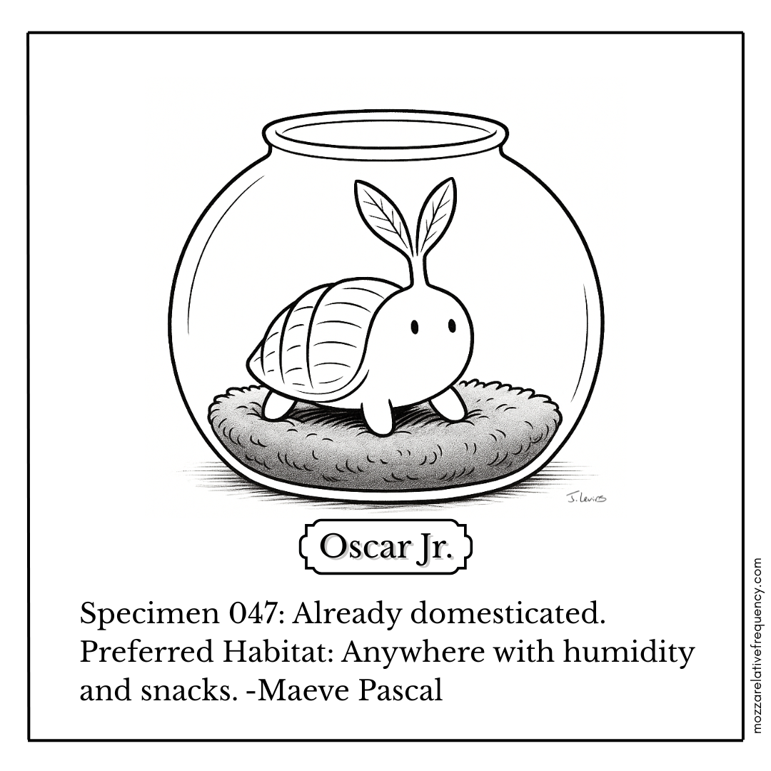 The Evolution of Oscar Jr.