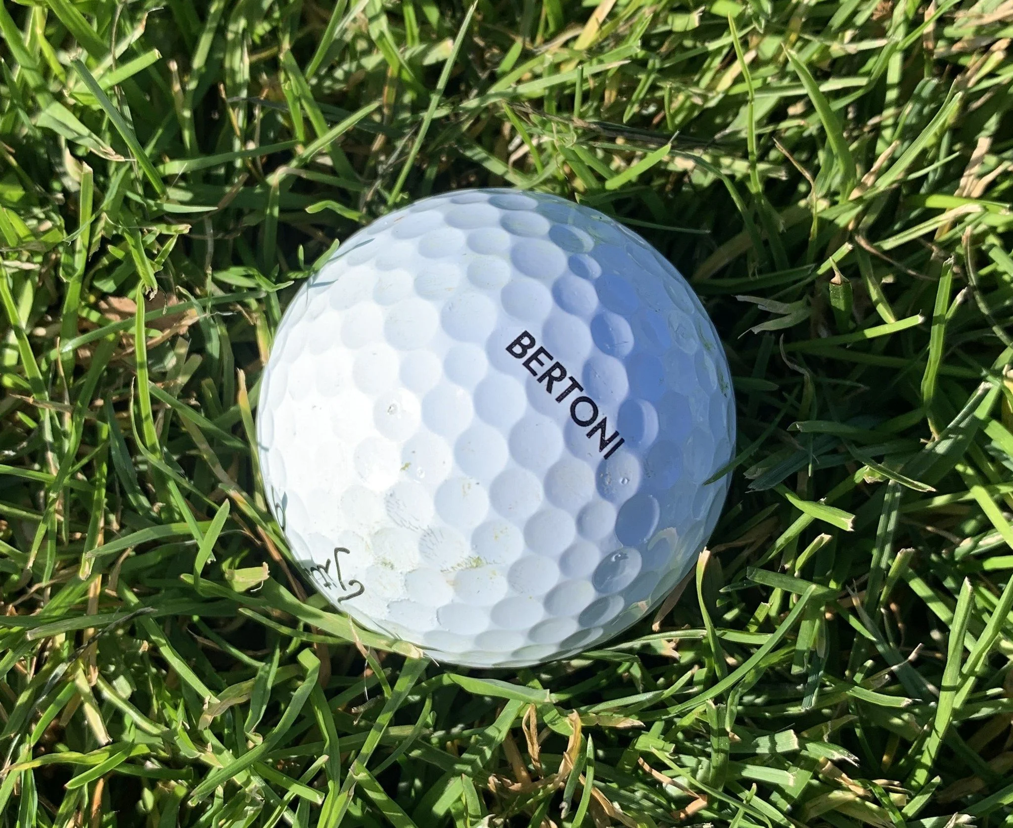 463976194_10233435677775260_5803097463877517130_n.jpg