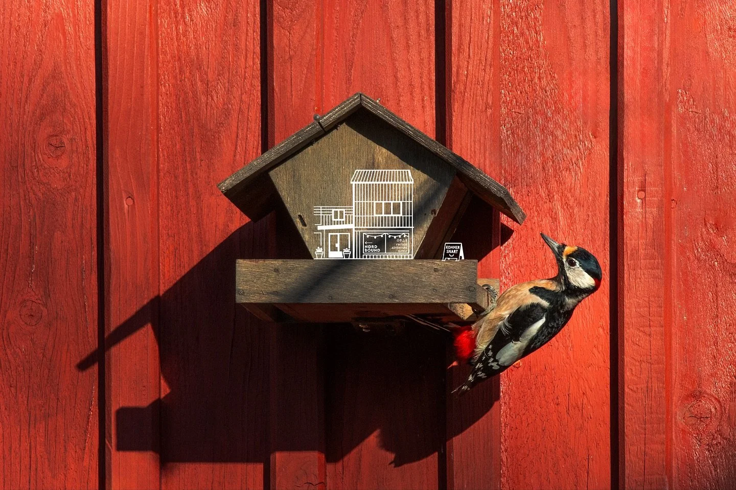 Celebrating the start of autumn at @nordboundclassic / @nordbound.se 🍂