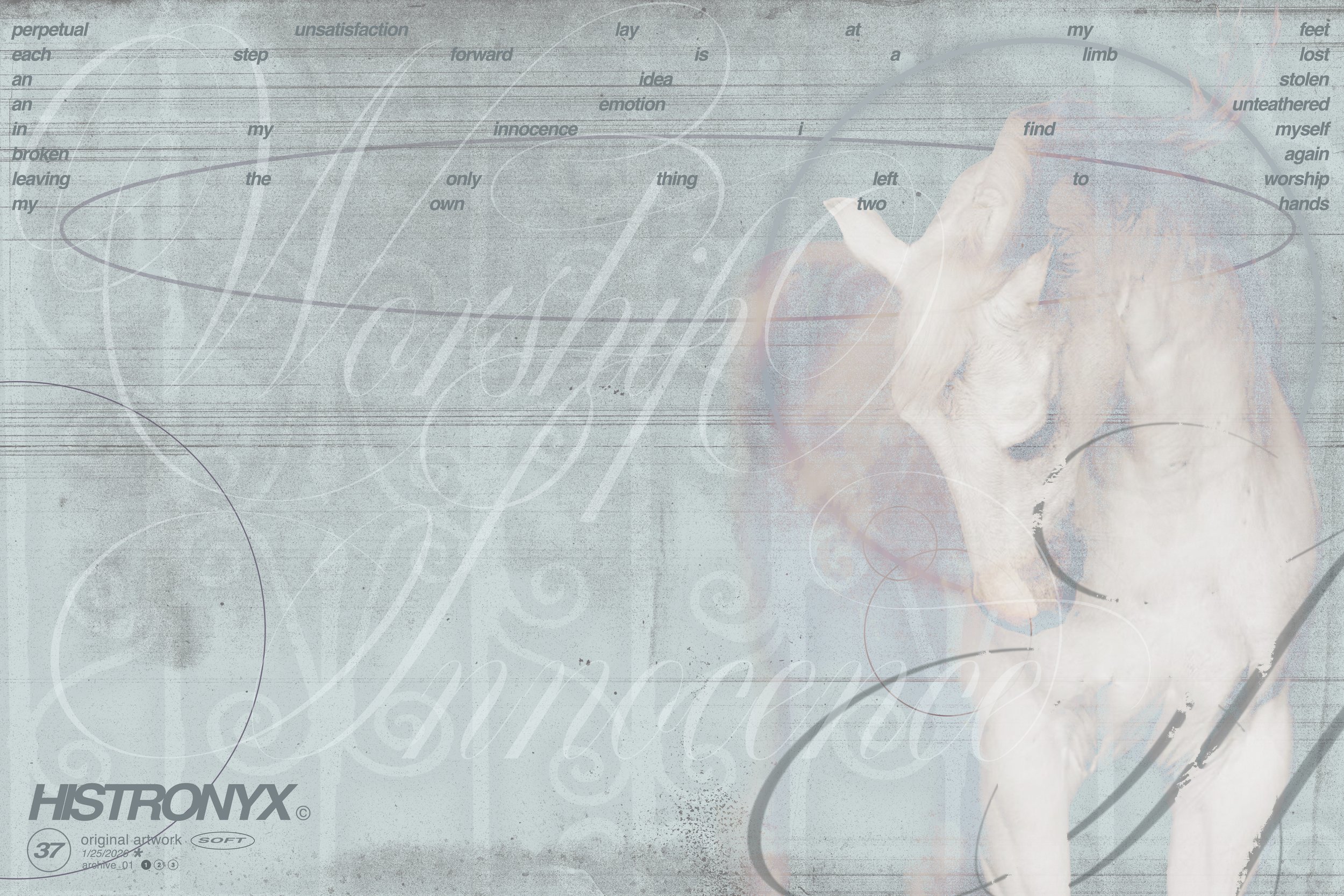 worship innocence.jpg