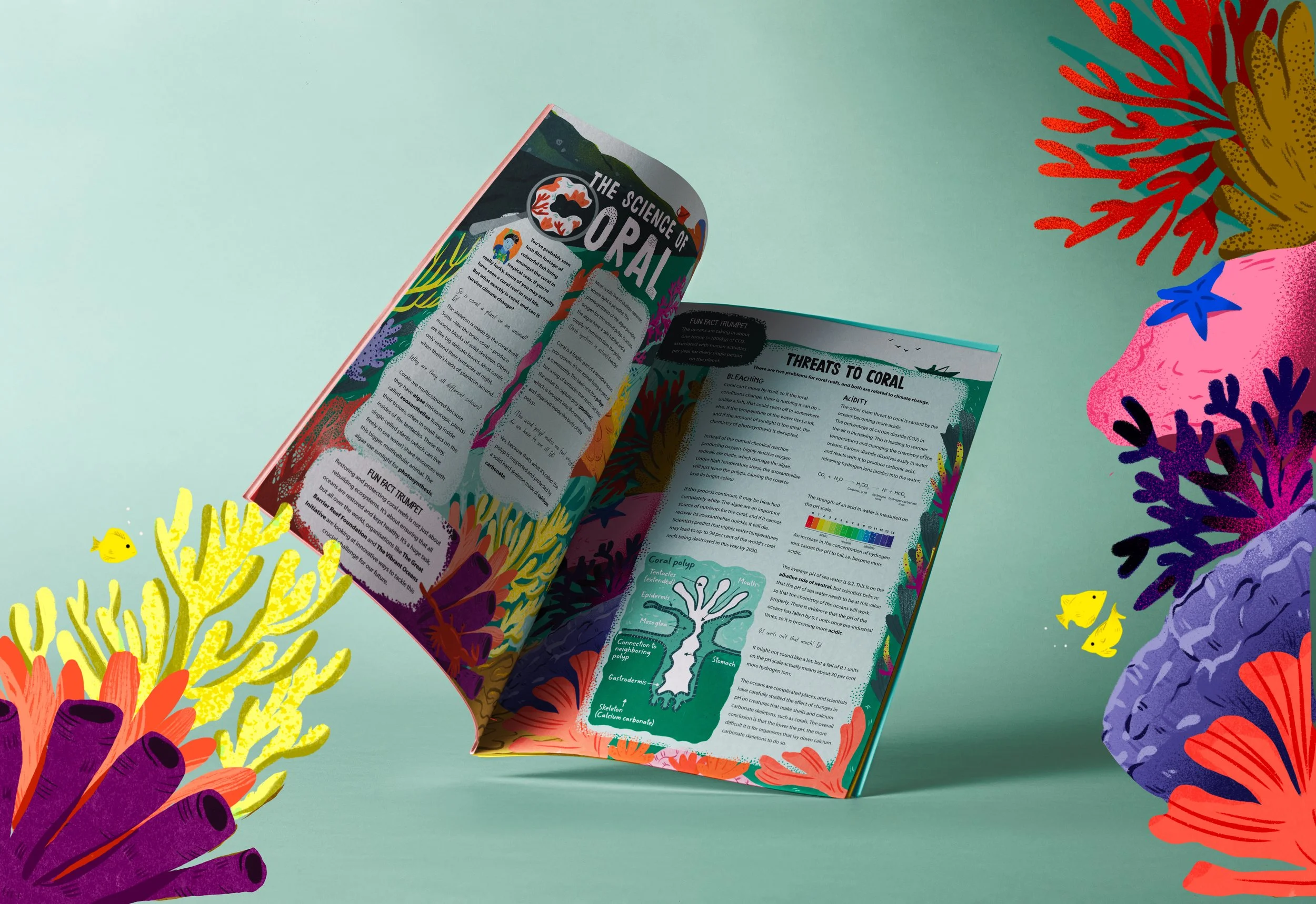 The Science of Coral