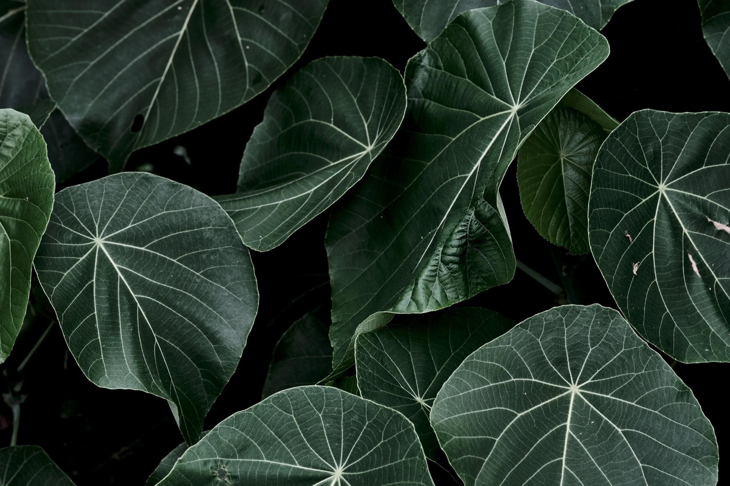 What Is EMDR Therapy and How Does It Help?