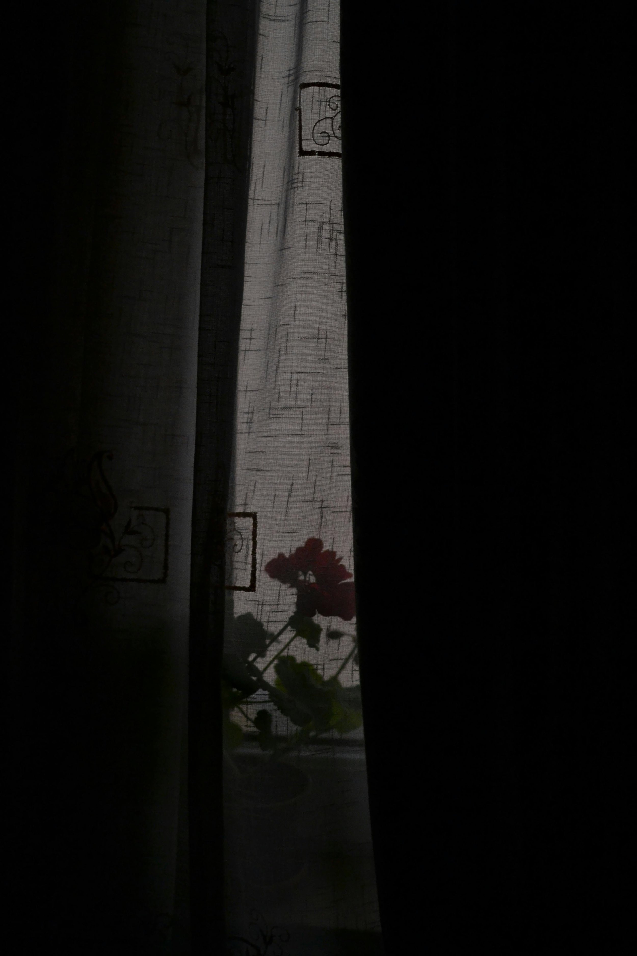 A window with partially drawn curtains and a single red flower on the windowsill, seen from inside.