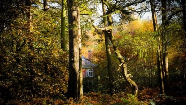 charnwood-forest-retreat-centre-pkjju41gdtmt4661hopf7cf1h6tj9yxid7mugg9bmy.jpg