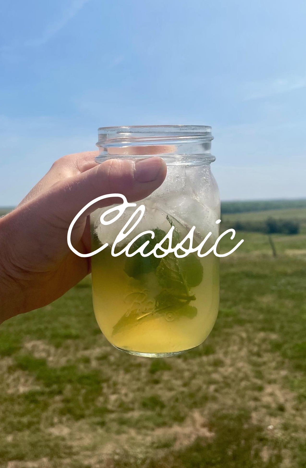 Classic Switchel
