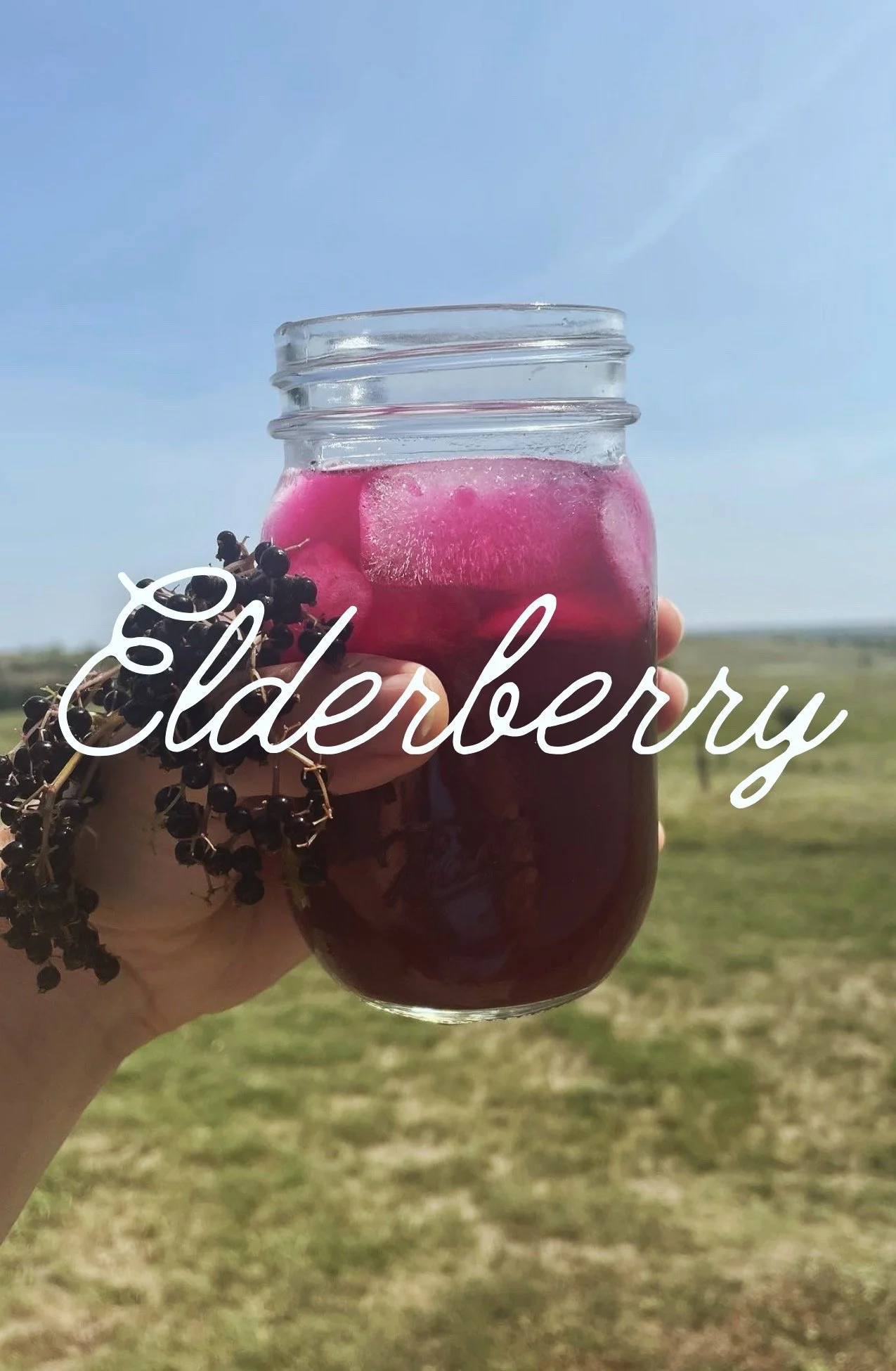 Elderberry Switchel