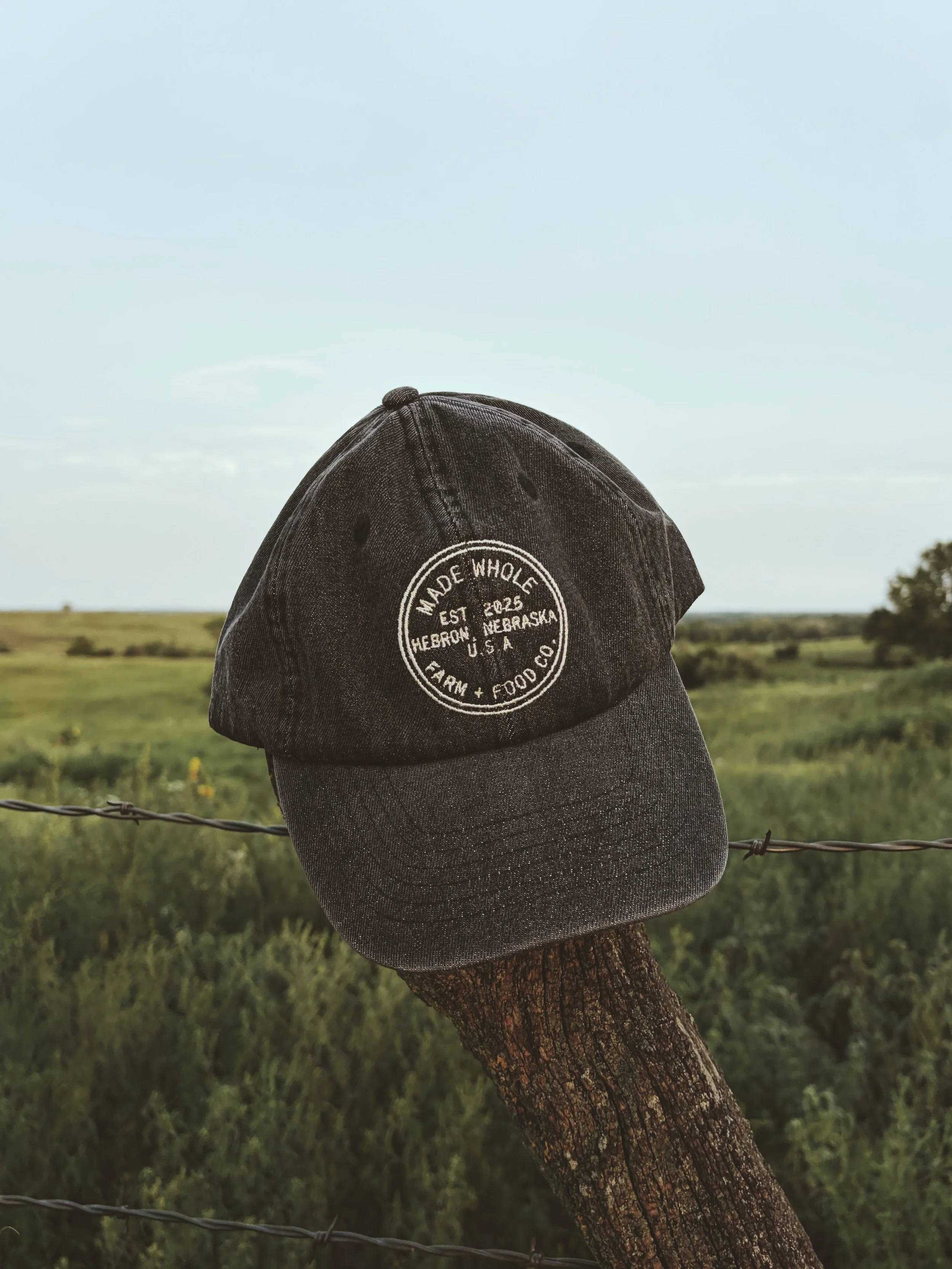 Made Whole Farm Logo Hat