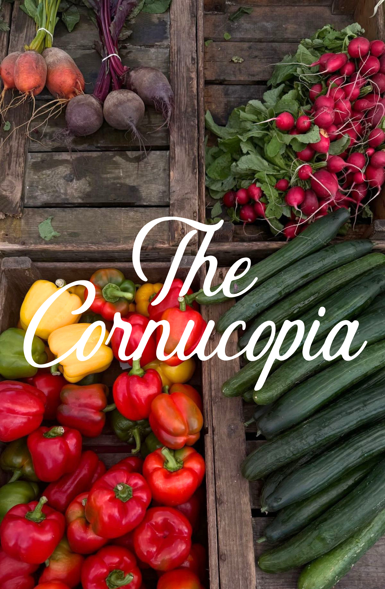 The Cornucopia (Unlimited Share)