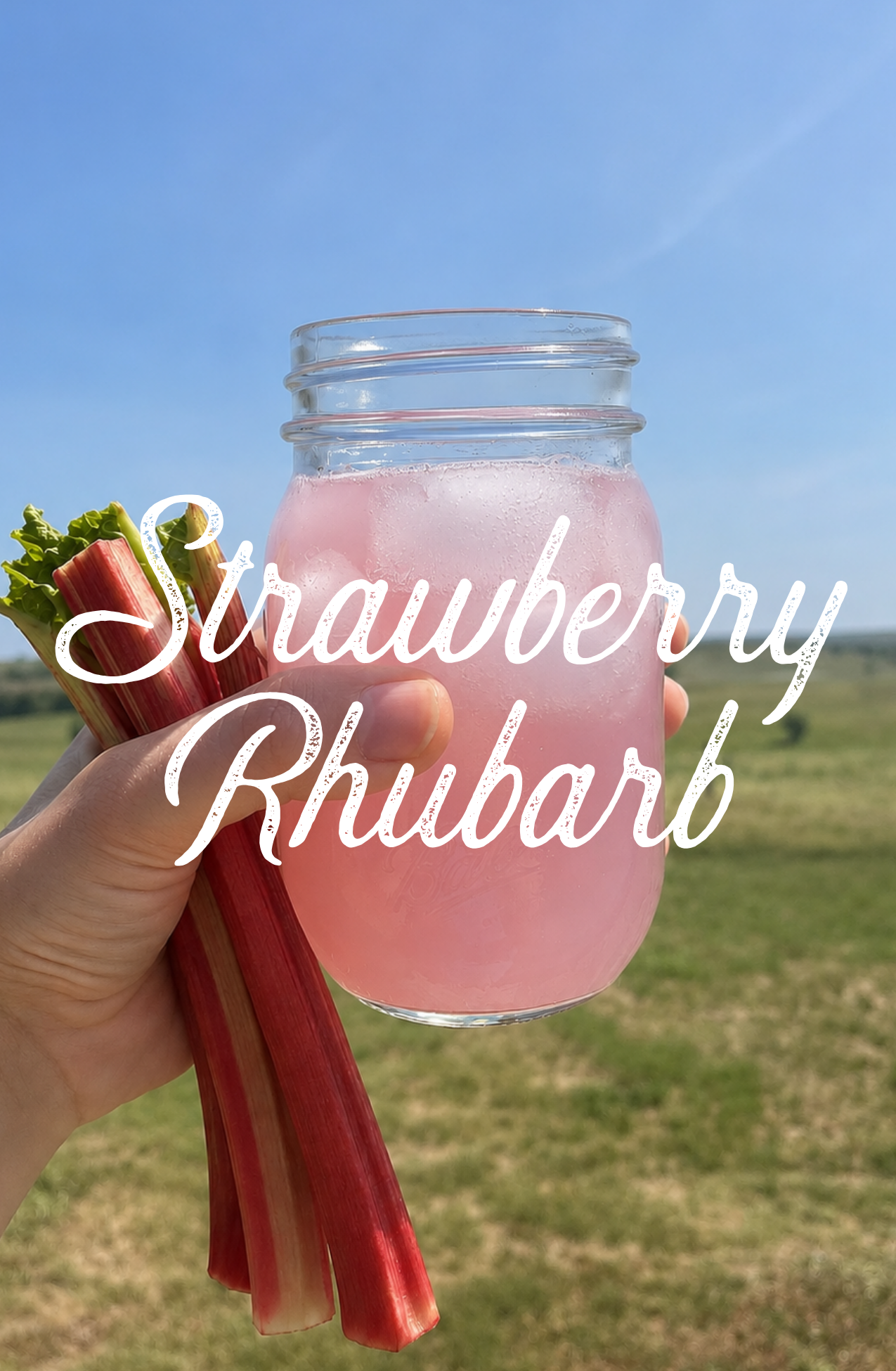 Strawberry Rhubarb Switchel - SEASONAL