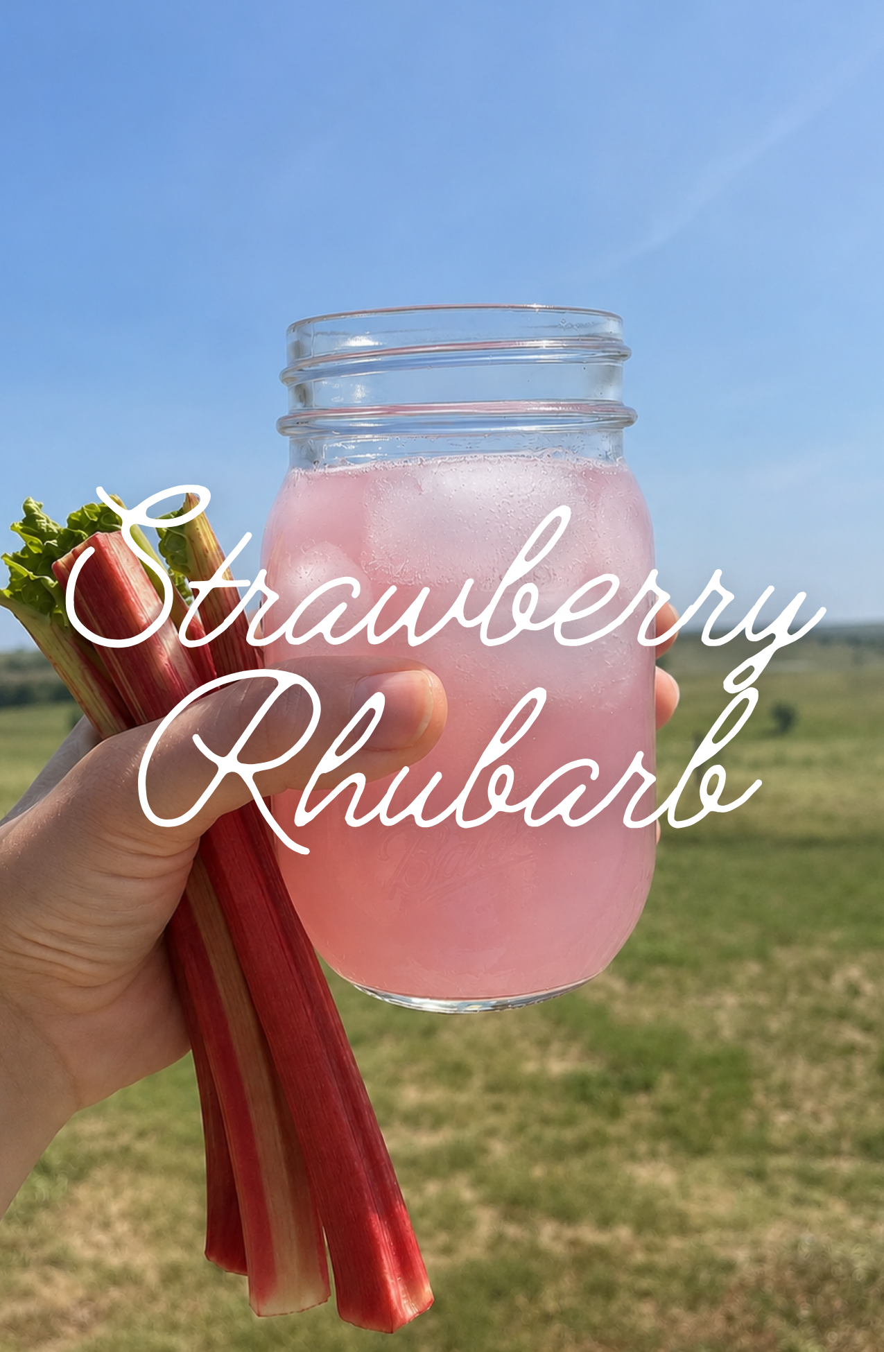 Strawberry Rhubarb Switchel - SEASONAL