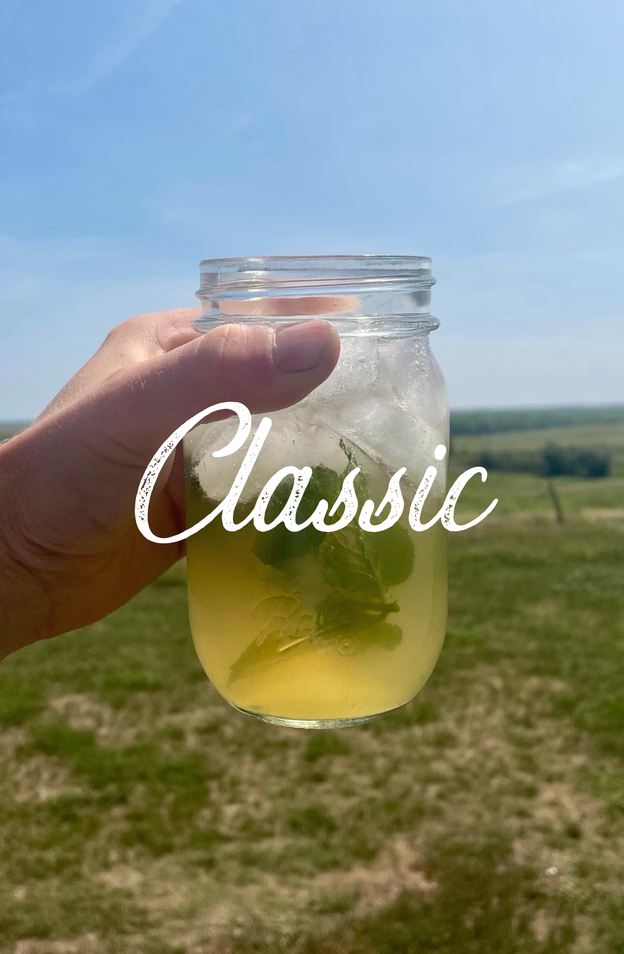 Classic Switchel Syrup