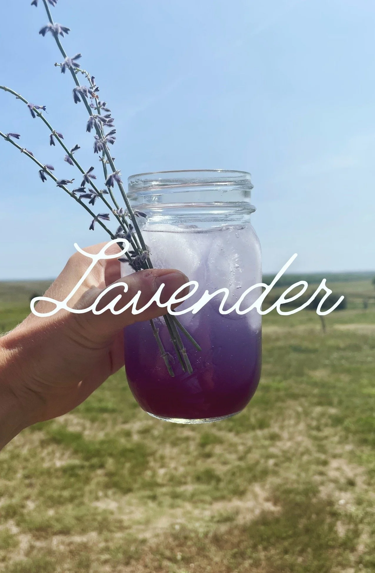 Lavender Switchel