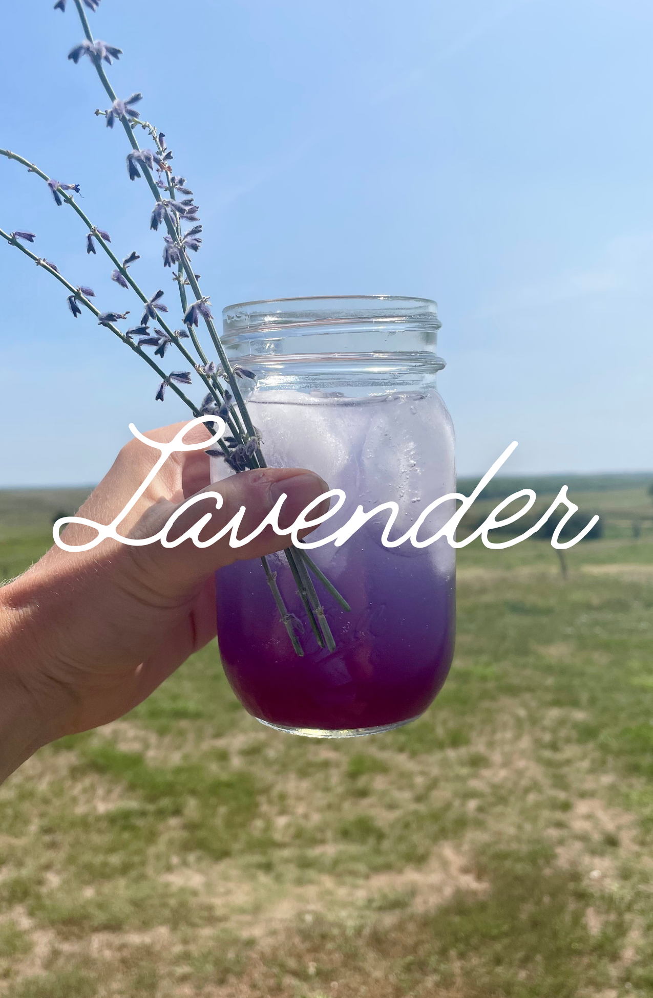 Lavender Switchel