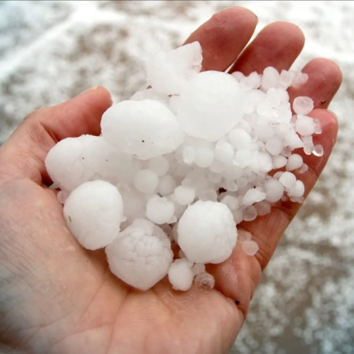 If you happen to have any vehicle damage due to hail from last night storm, we can help! Don&rsquo;t hesitate to contact us. We give free estimates and work with all insurance companies!