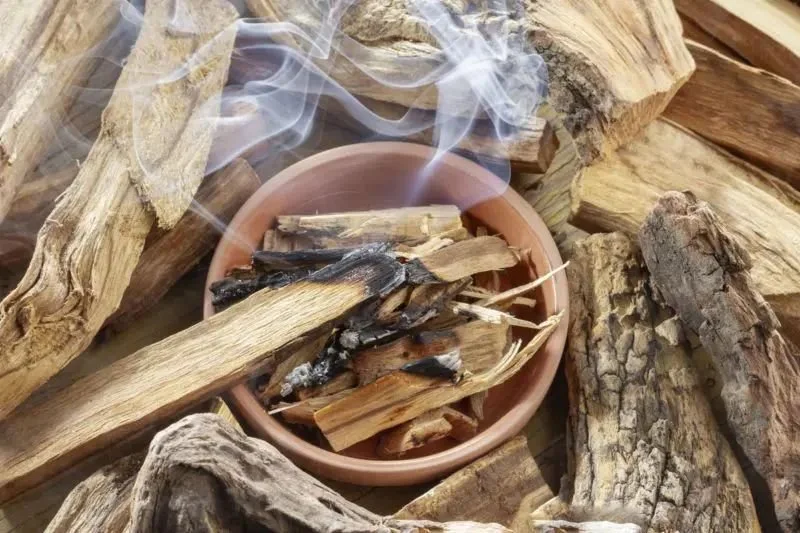 Palo santo smoking in a clay bowl