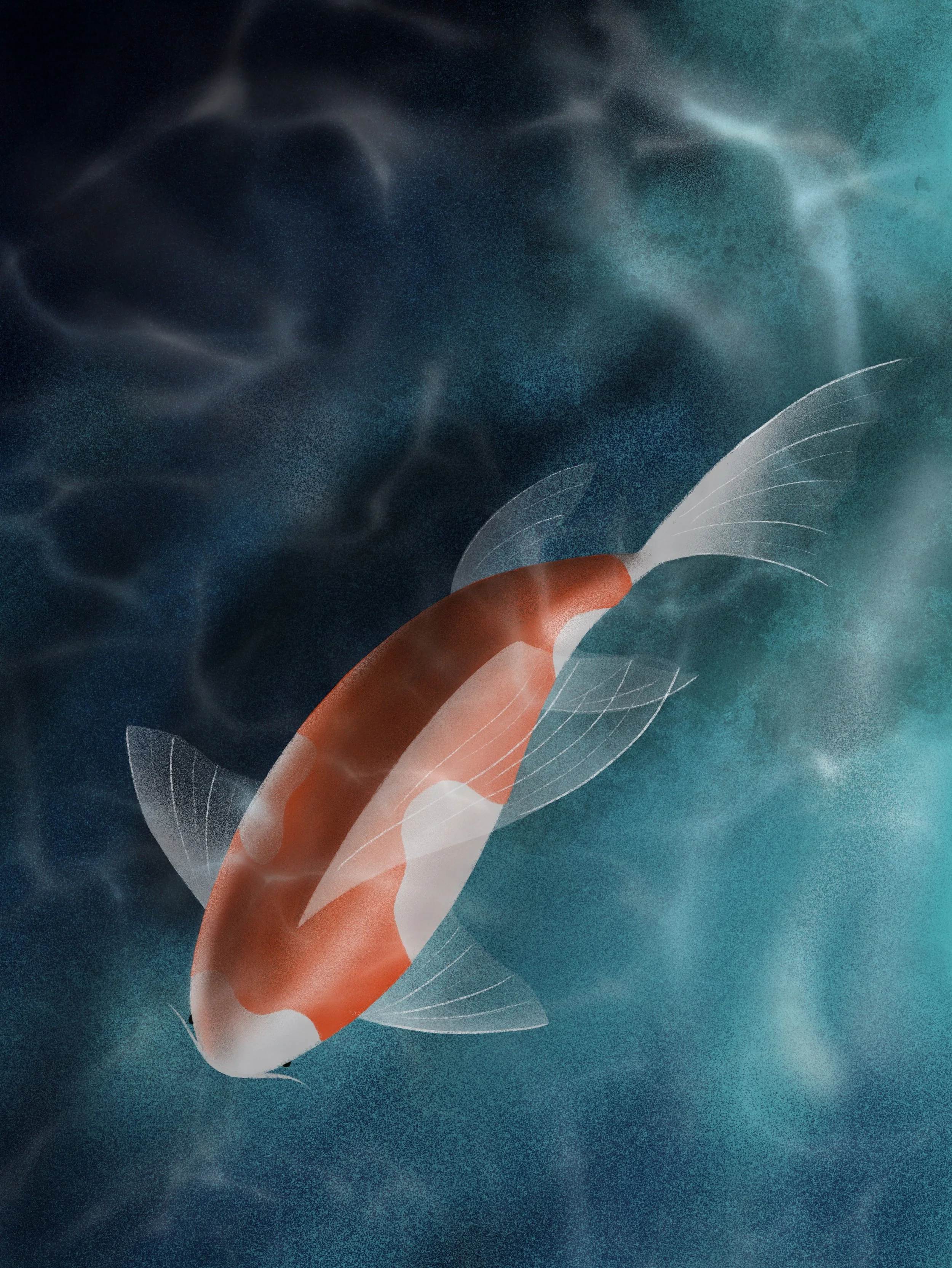 Koi_Carp.jpg
