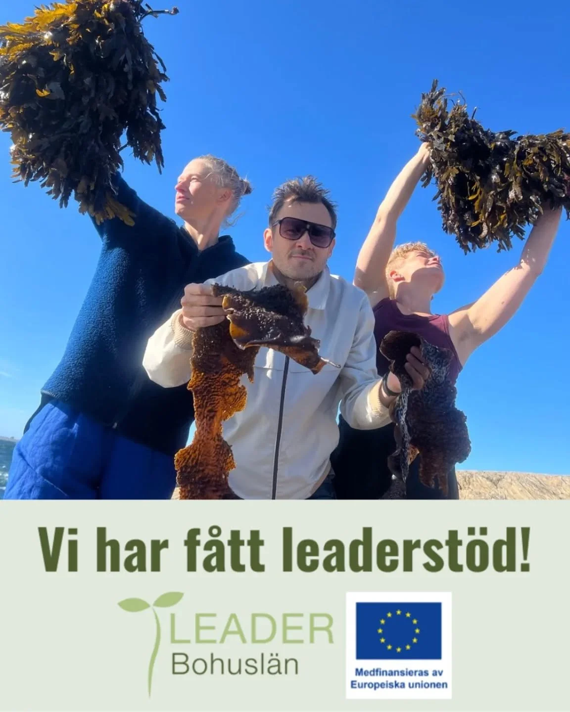 Vi har fått stöd av Leader Bohuslän för att producera en utställning om och med TÅNG
Visas på Tjörn i oktober 2025.