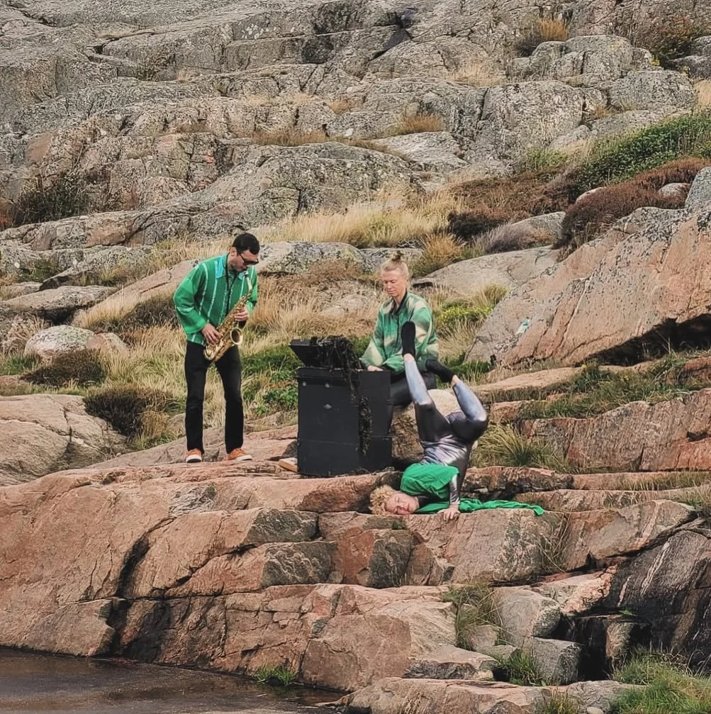 Invigning av otroliga skulpturer av @yemisiwilson på Blekets badplats m en glimt av TÅNG på klippan. 🦭🦭🦭 📸 @frozenflamingos