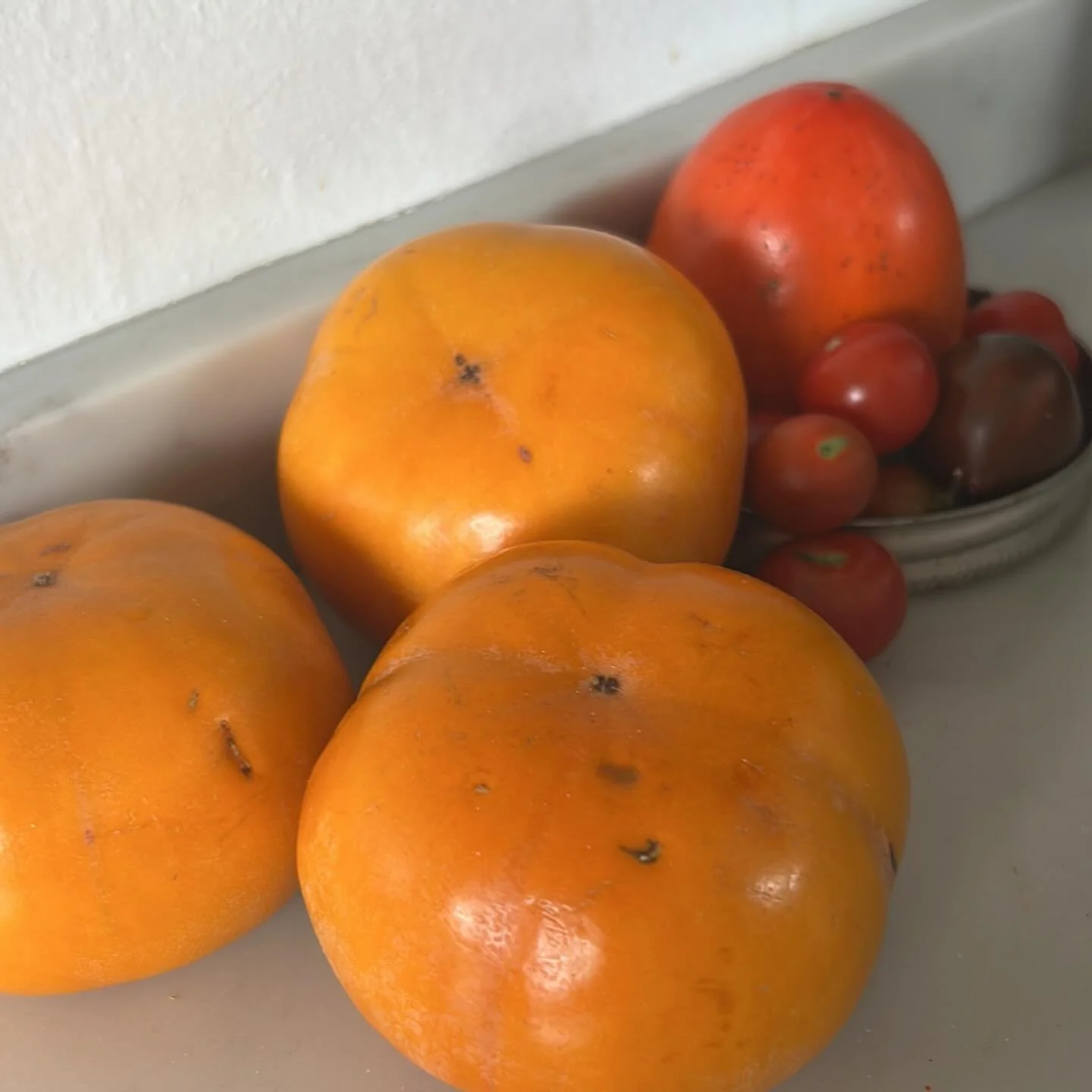 Persimmon season again! And the last few tomatoes. I love this time of year.  #cozyseason #persimmons #seasonforgiving