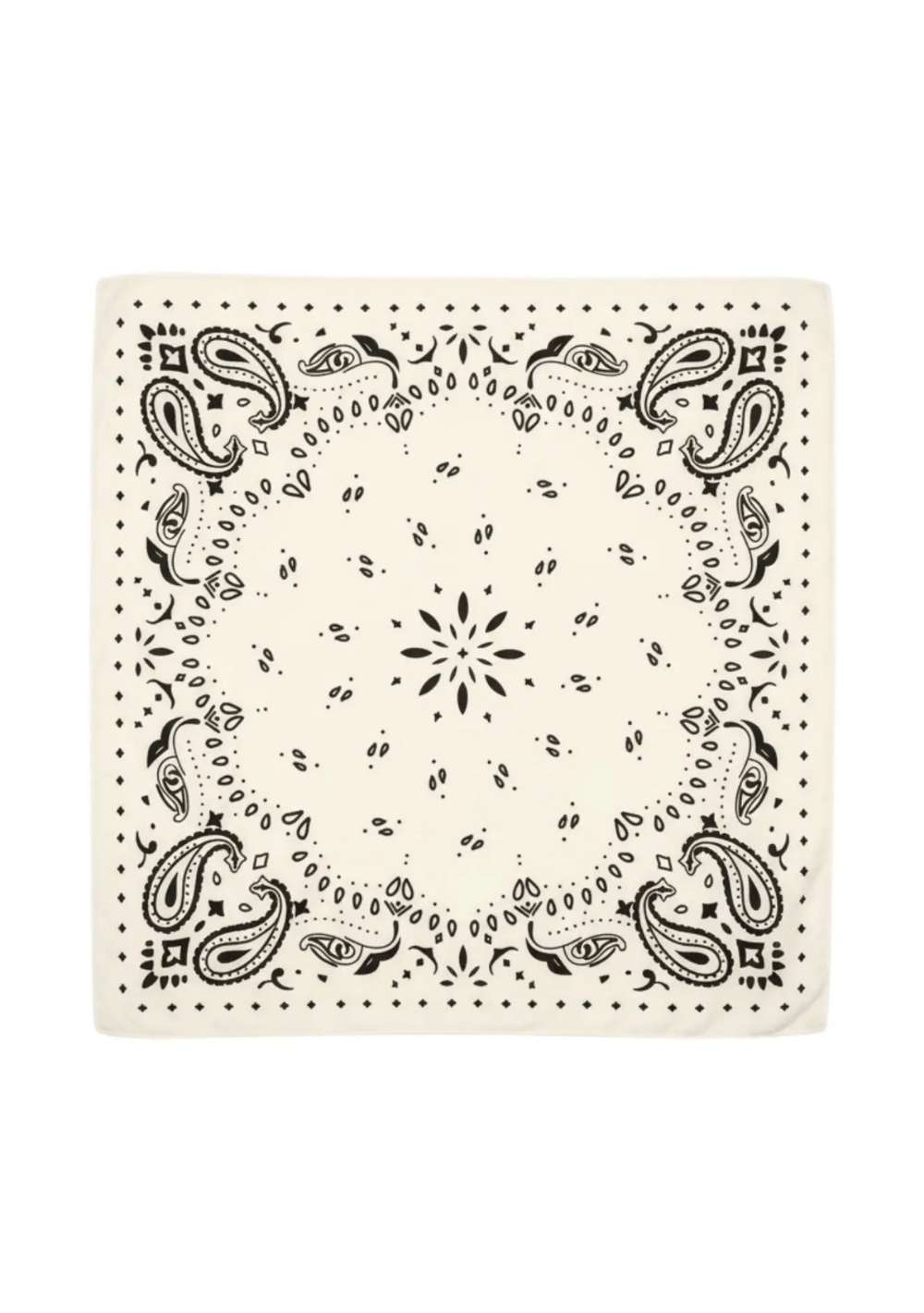 SJ Website Images (67).png