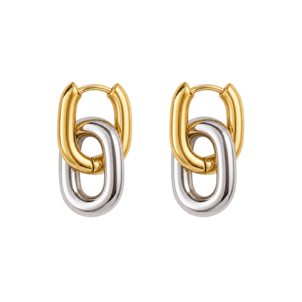 Mixed Metal Link Earrings