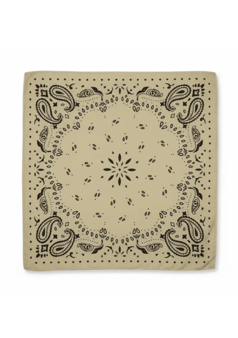 SJ Website Images (66).png