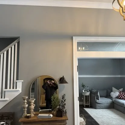 Living room with a gray wall, a doorway with a white frame, a gray sectional sofa, and a side table with a plant and decorative pillows.