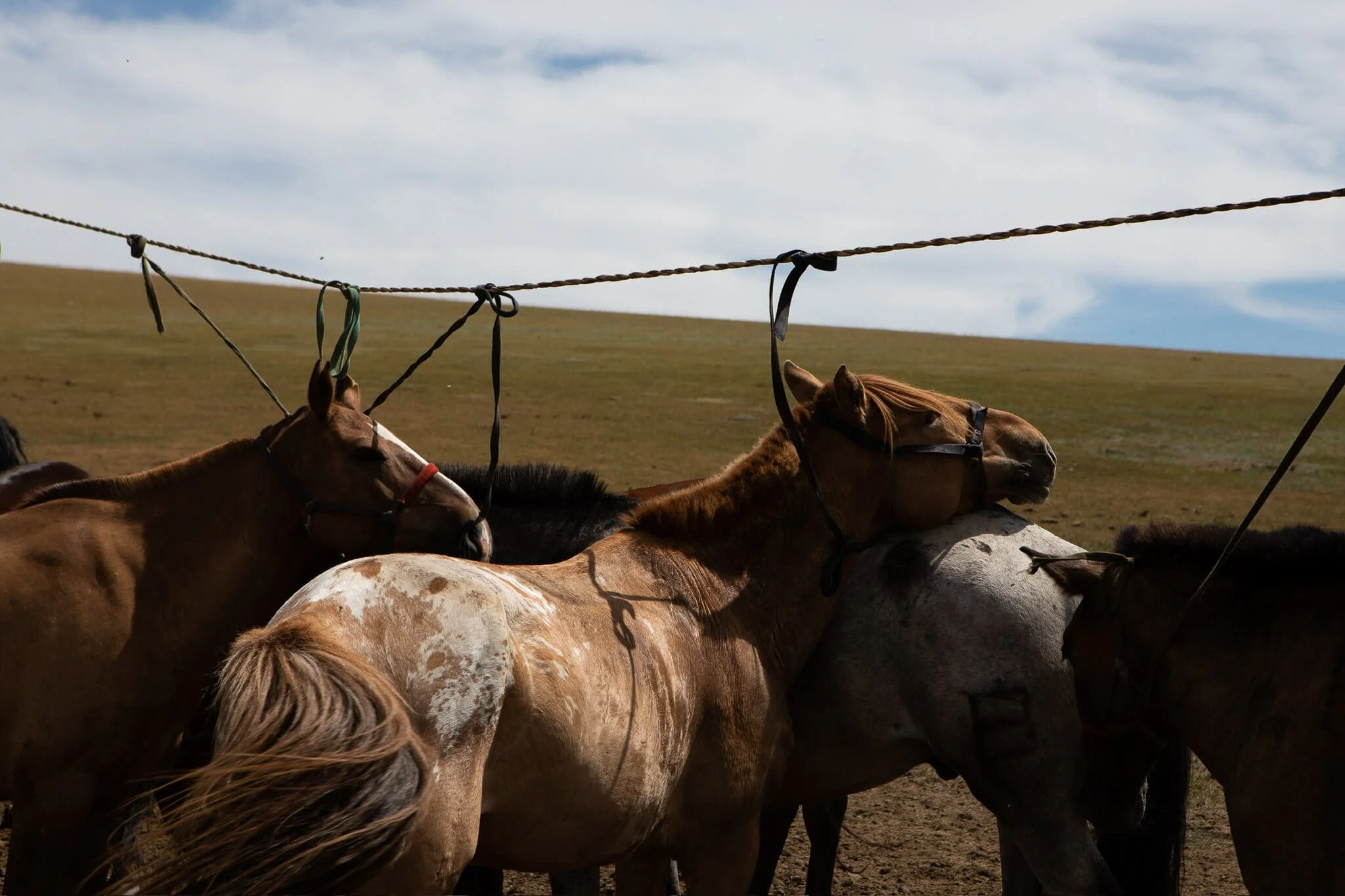 EE08EA58-E9D3-4CB4-BAC0-3829D56BE7EB 2.jpg