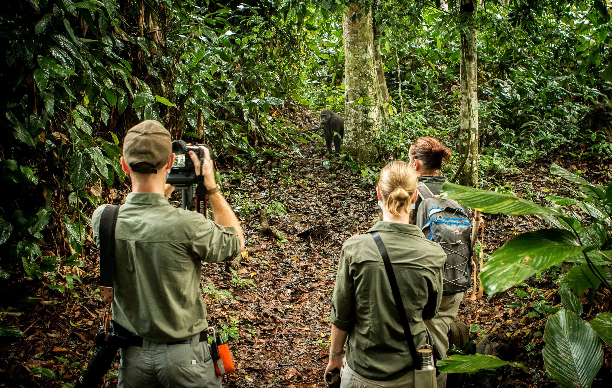 Kamba - Ngaga - Gorilla Tracking (15).jpg