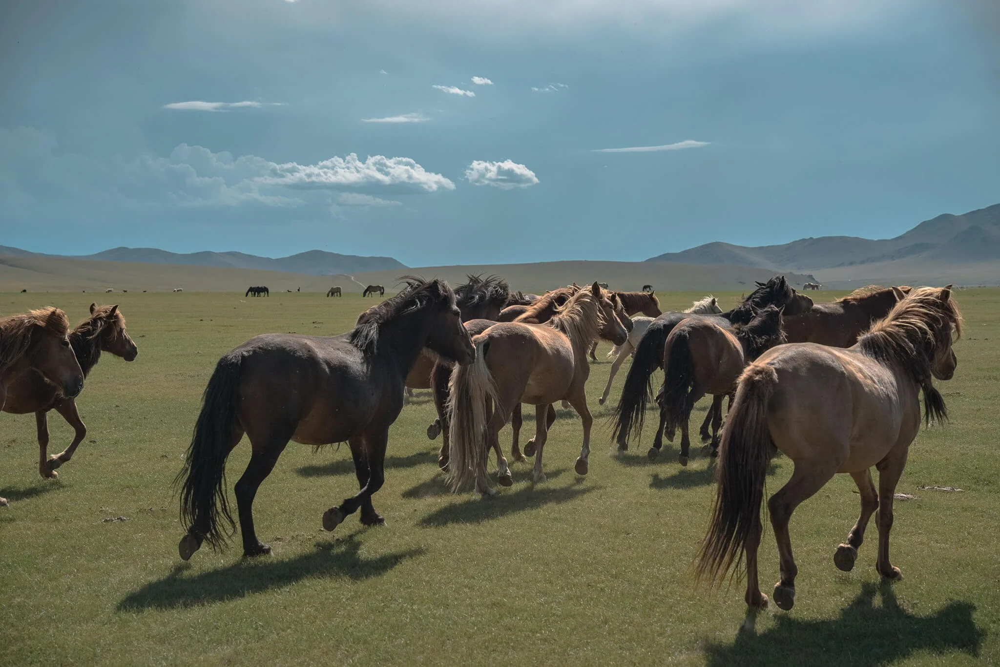 23F8585C-1682-4D37-B509-DFA5E508105C 2.jpg