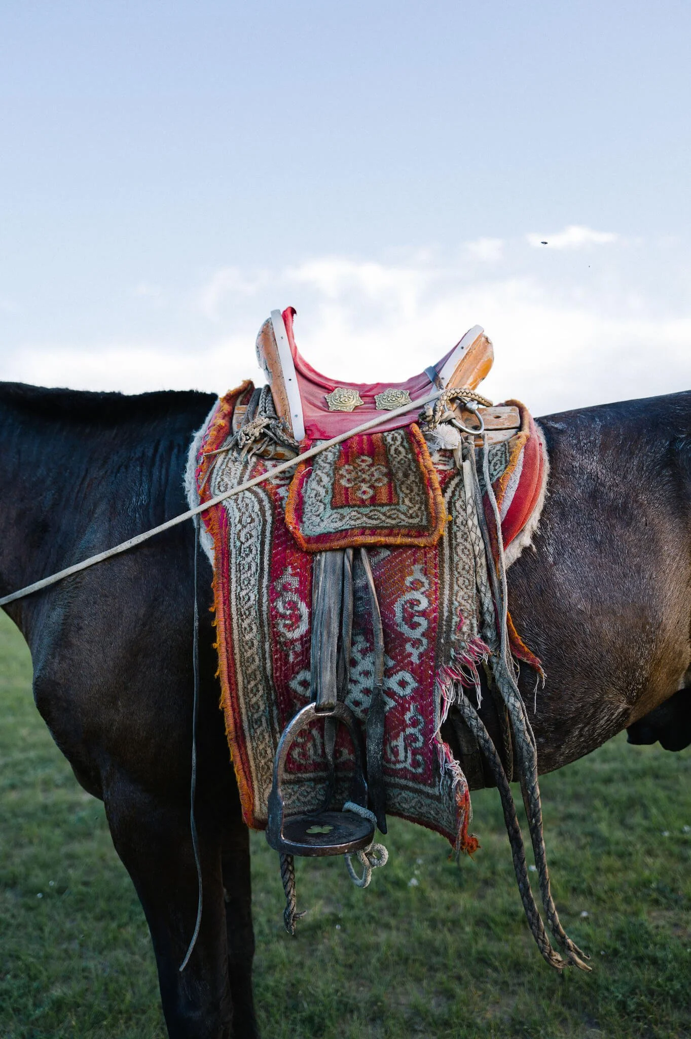 9247B531-0466-456F-BACE-C77965B4F06F 2.jpg