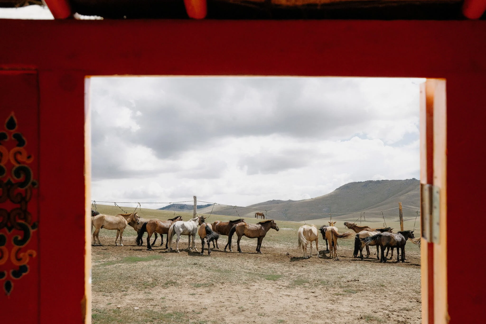 80A46F11-8489-46DE-803A-2AB9D55FEDB4 2.jpg