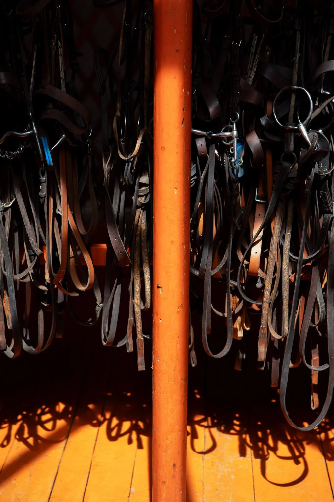 86A895F2-23F6-43D2-9E7D-C90A693FB56E 2.jpg