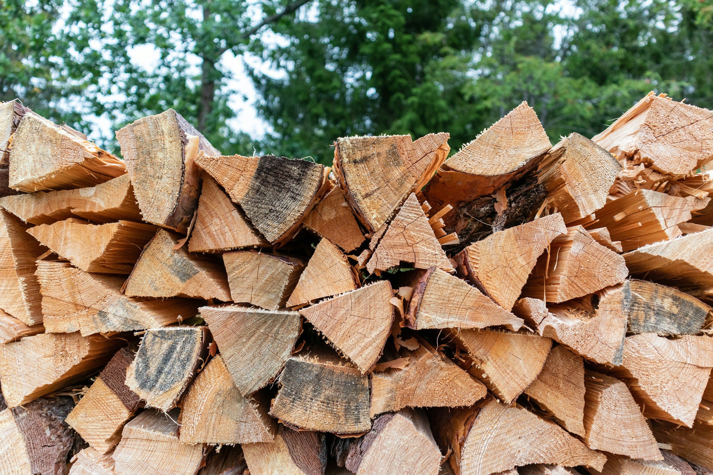 Stacked firewood logs with green trees in the background.