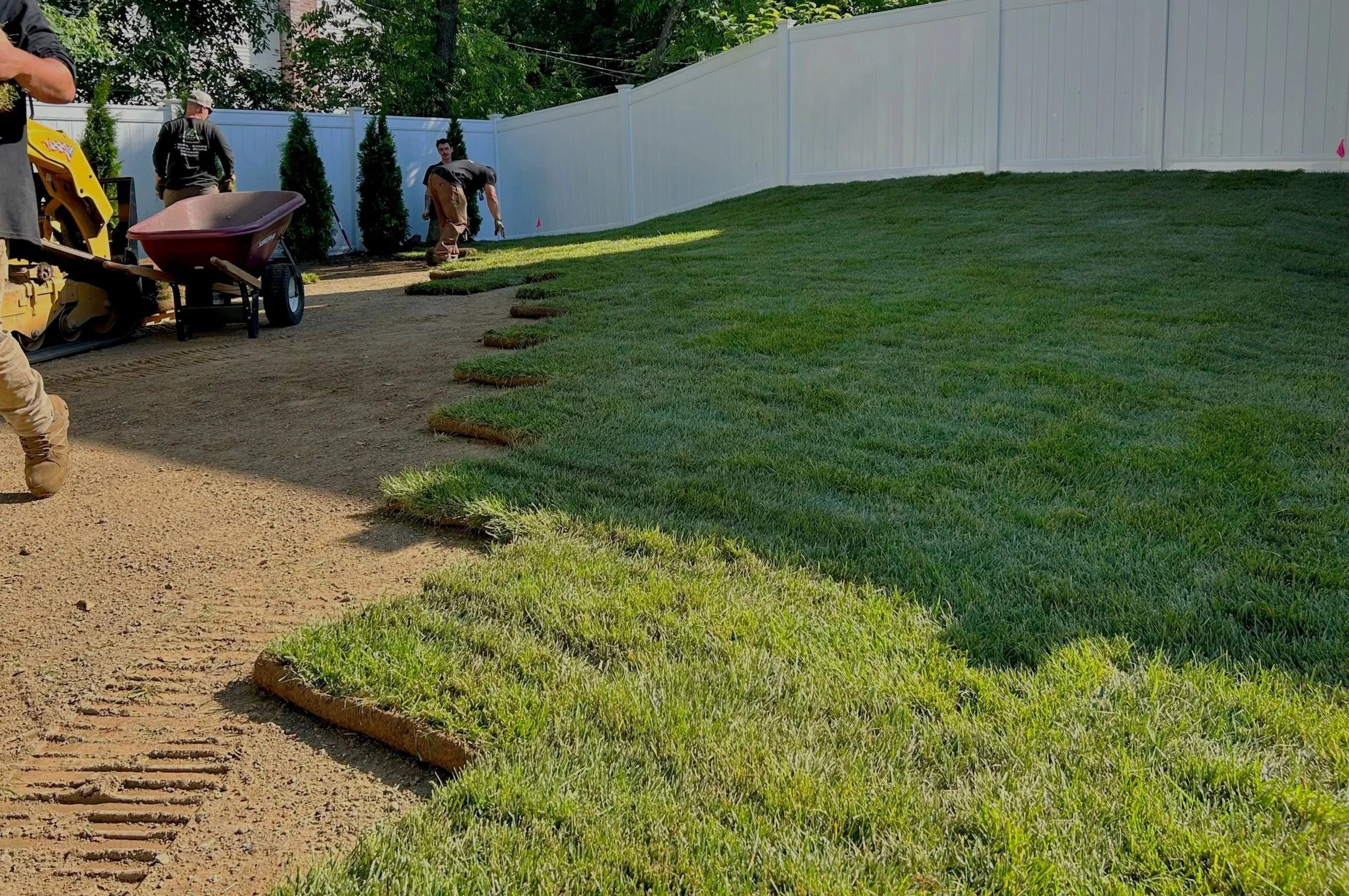 Workers installing sod grass on a backyard lawn, some placing sod pieces and others operating machinery, with a white fence and trees in the background.