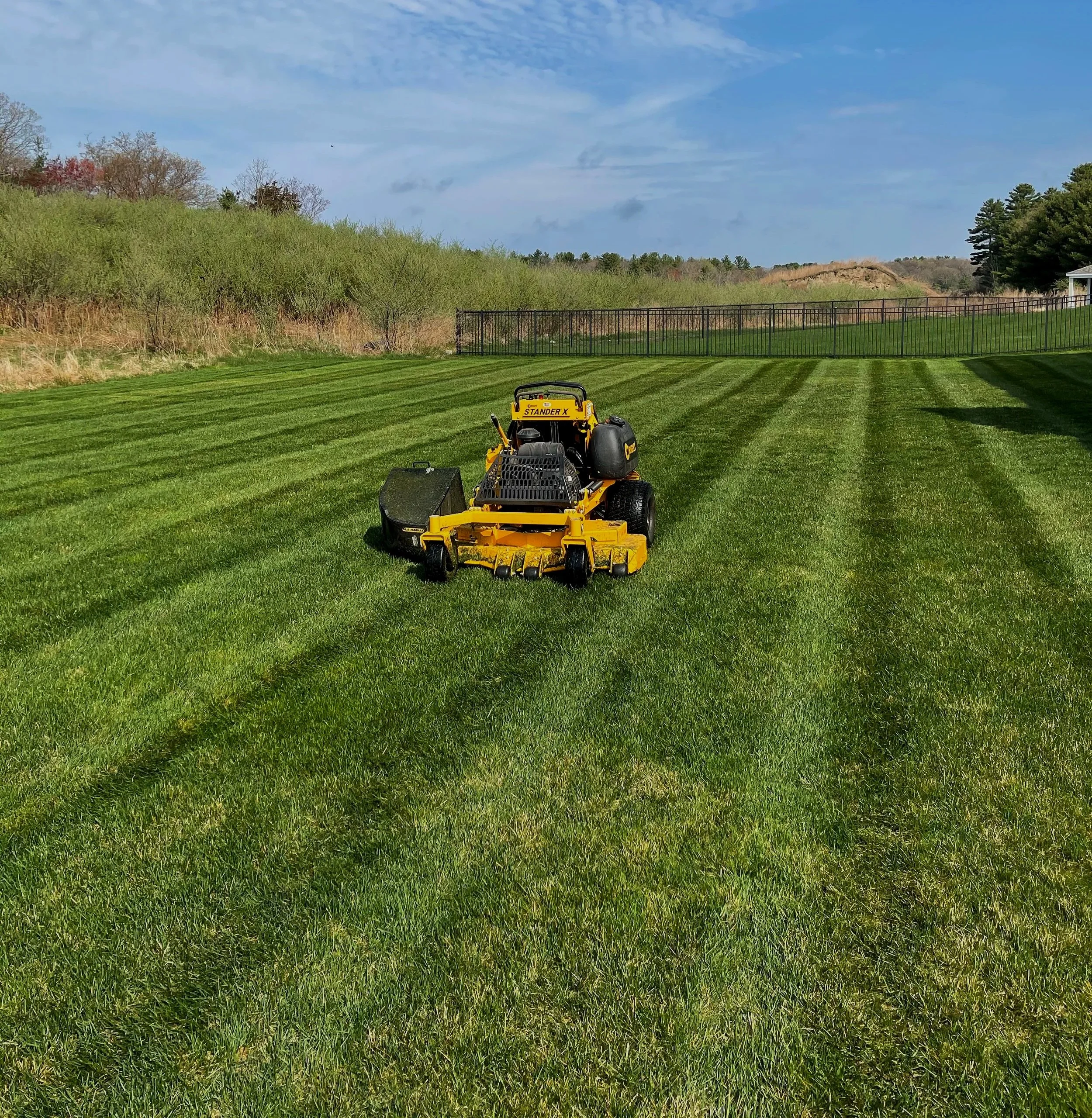 Yellow and black lawn mower on freshly mowed green grass in a backyard with a fence and trees in the background.