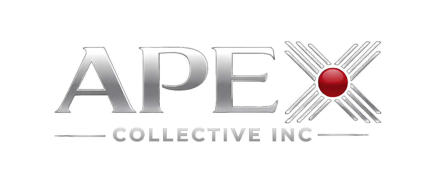 APEX COLLECTIVE INC