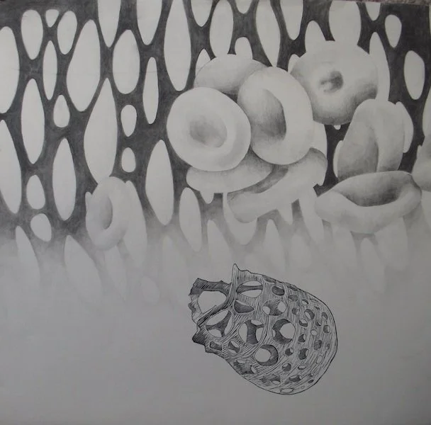 structural integrity.jpg