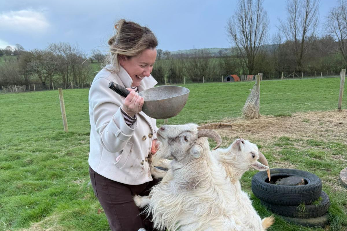 Counsellor Sam Osman laughing as she feeds two white goats from a pan of food, the goats jumping up.