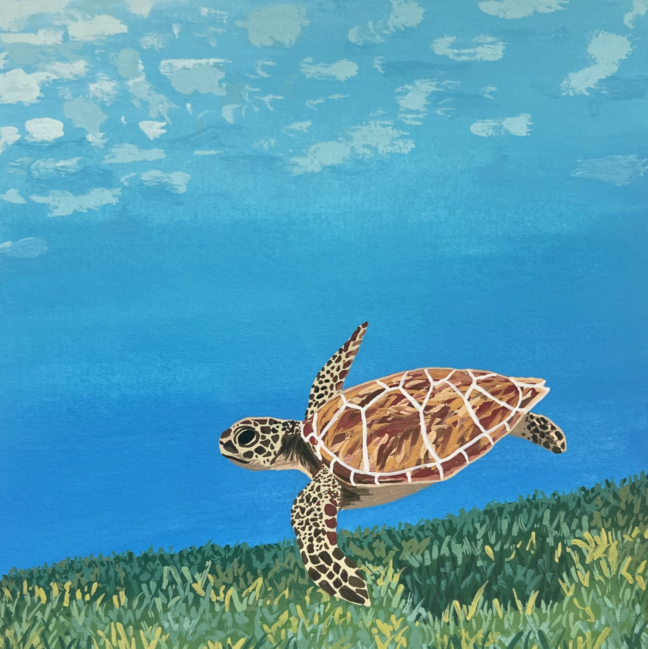Green Turtle - Gouache on paper.