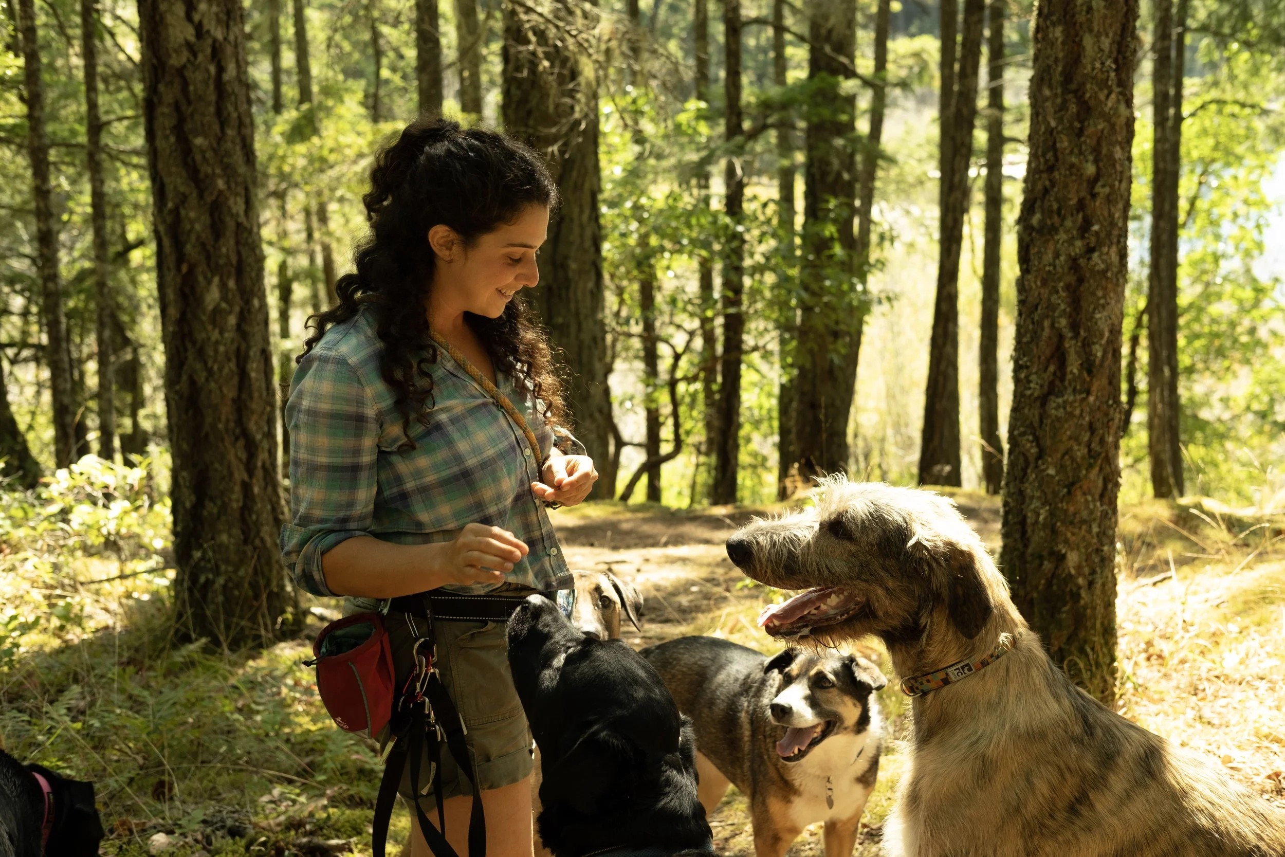 Pack Leader Zoe deep in the forest with a pack of four dogs of various breeds. She is smiling while she gets them to sit for a treat. The dogs look happy. Sun is shining in the background.