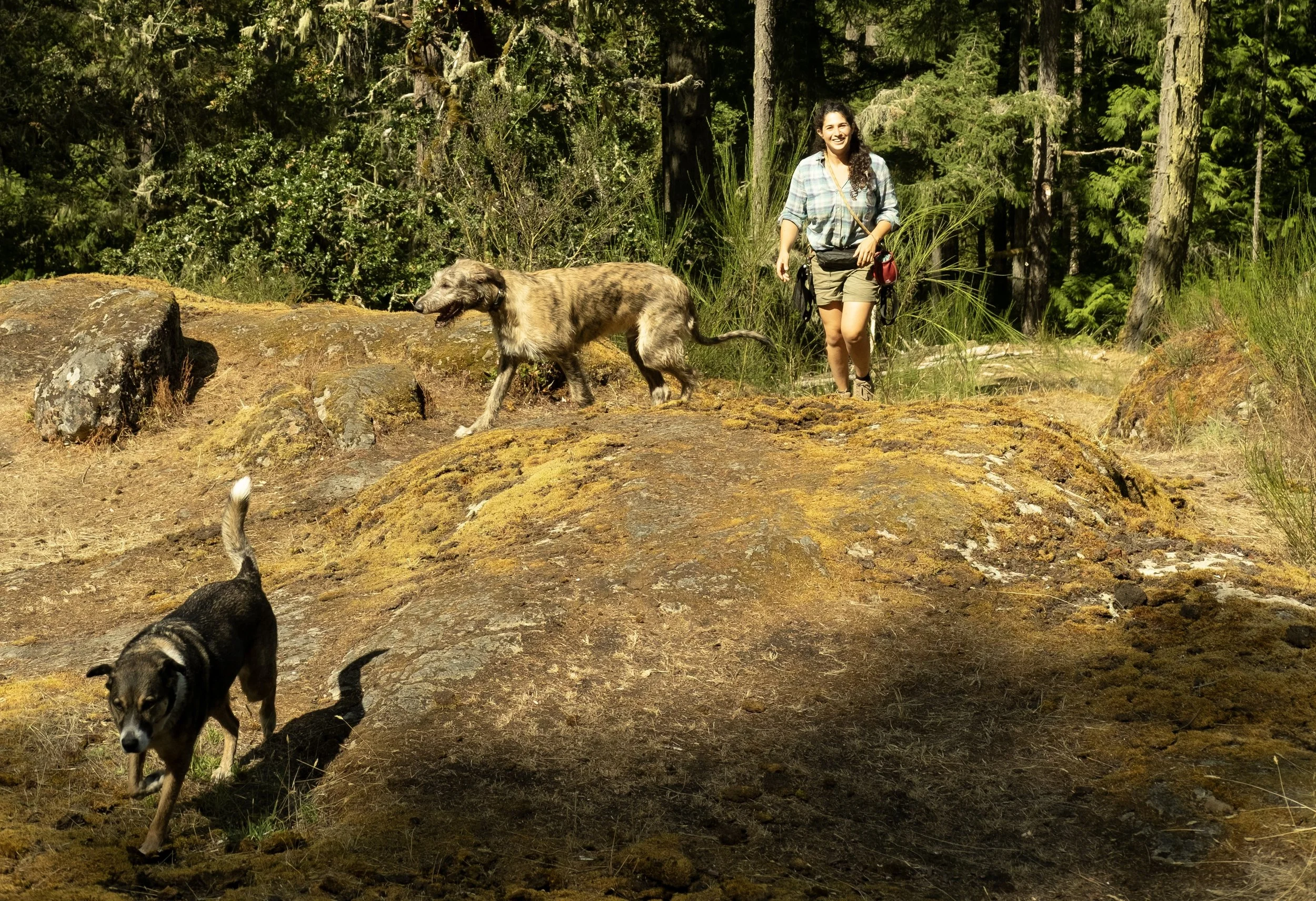 Is Your Dog Ready for Off-Leash Adventures? A Checklist for Victoria Dog Owners