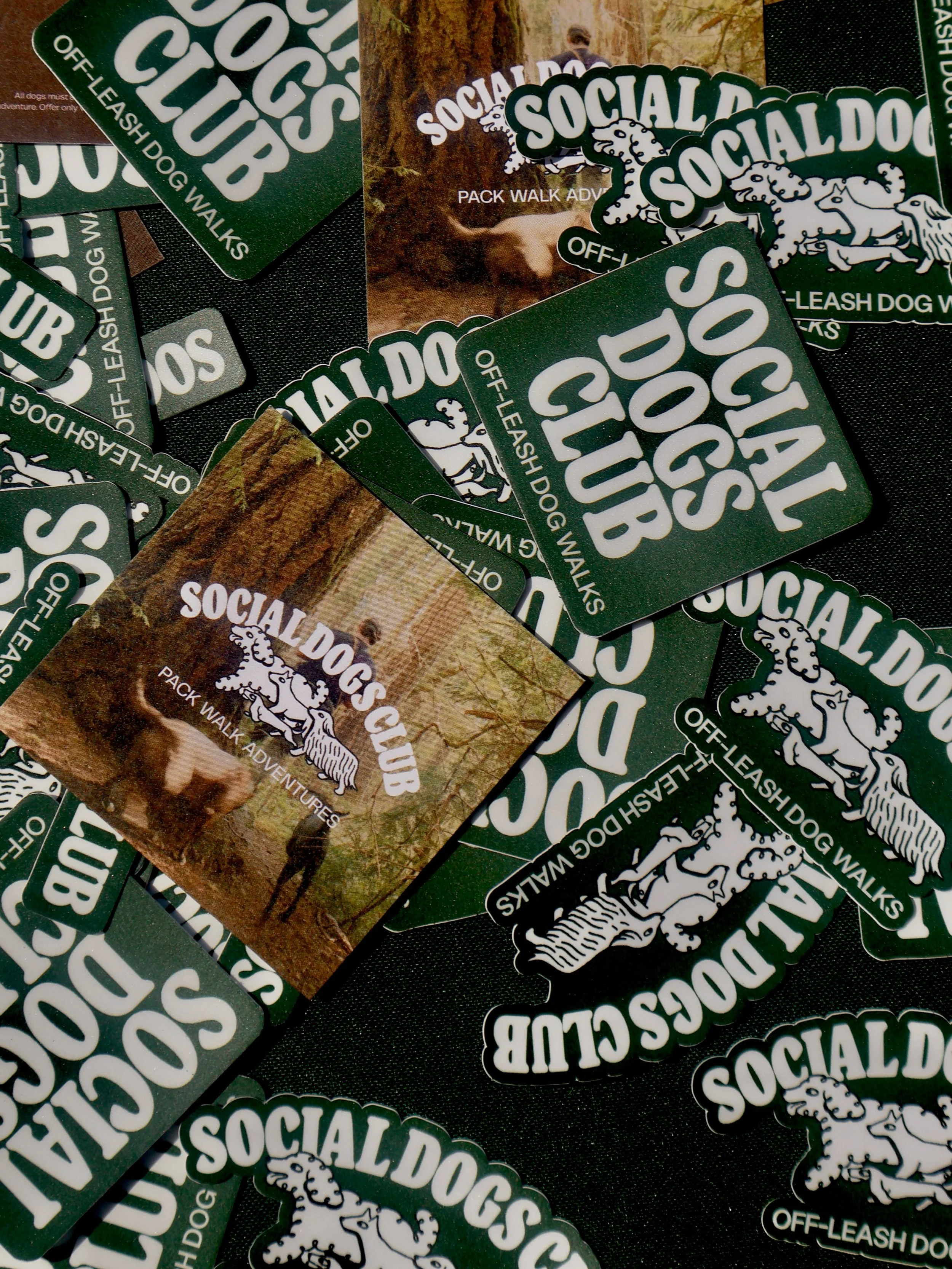 new stickers who dis

SEE YOU AT @mec VICTORIA TODAY &mdash; SATURDAY 9AM-3PM 🐕
