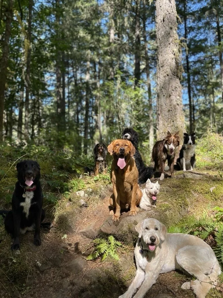 some of our favourite pack pics this season ⭐️