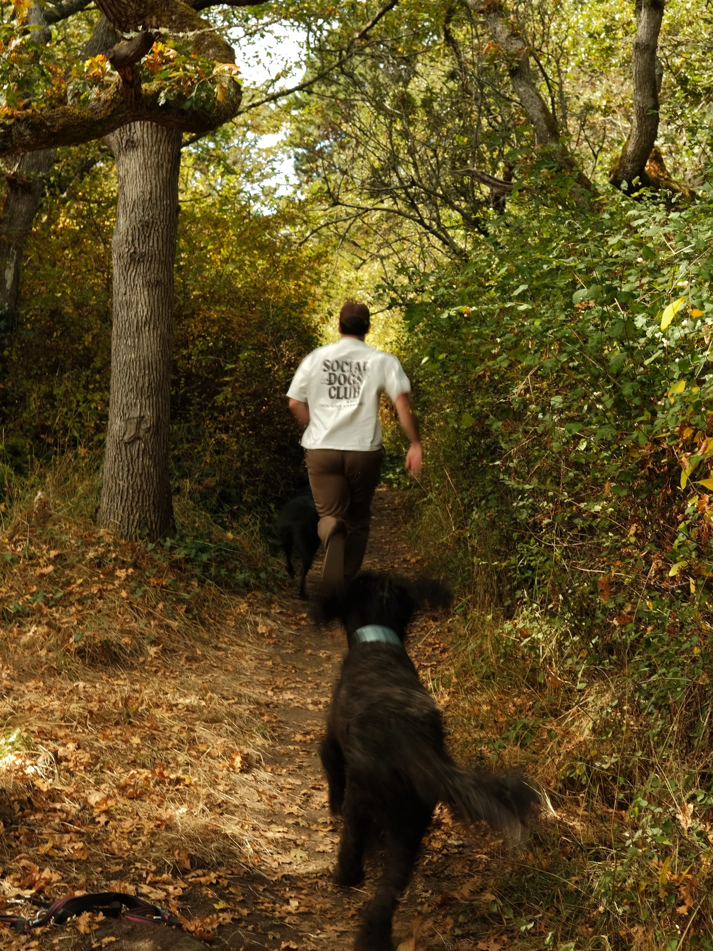 well, that was fast.

september&rsquo;s here already. back to schedules, routines, and cooler days &mdash; we know the dogs are excited about that part.

we&rsquo;re opening up a few more packs in anticipation of a busy fall! see you soon?